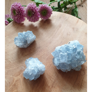 Celestien clusters klein